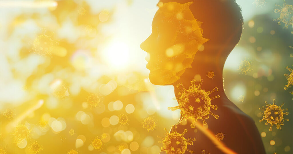 ระบบภูมิคุ้มกัน มีอะไรบ้าง