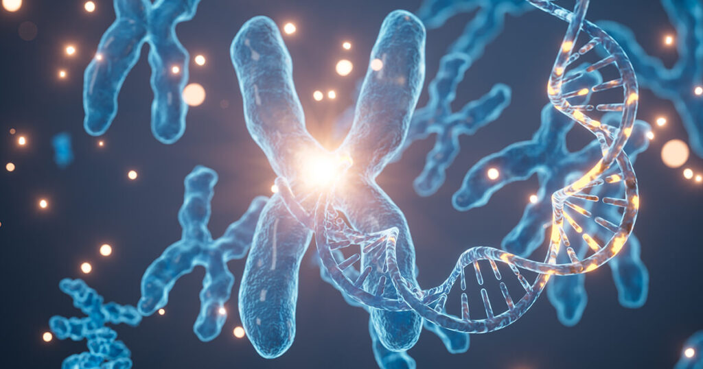 เทโลเมียร์คืออะไร